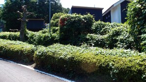 Zona residencial con una calle, abundante vegetación y casas modernas.
