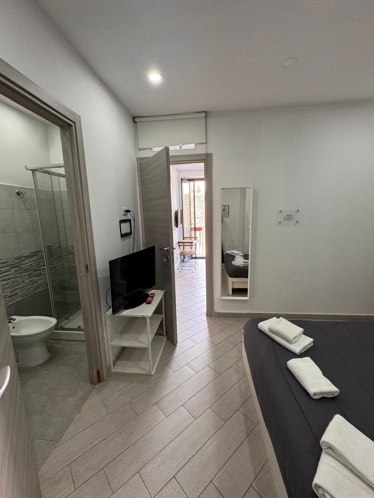 A modern bathroom with a shower, toilet, and a TV on a stand.
