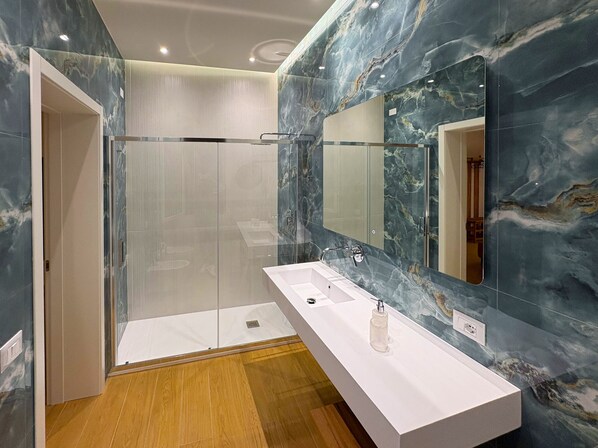 Shower, hair dryer, bidet, towels