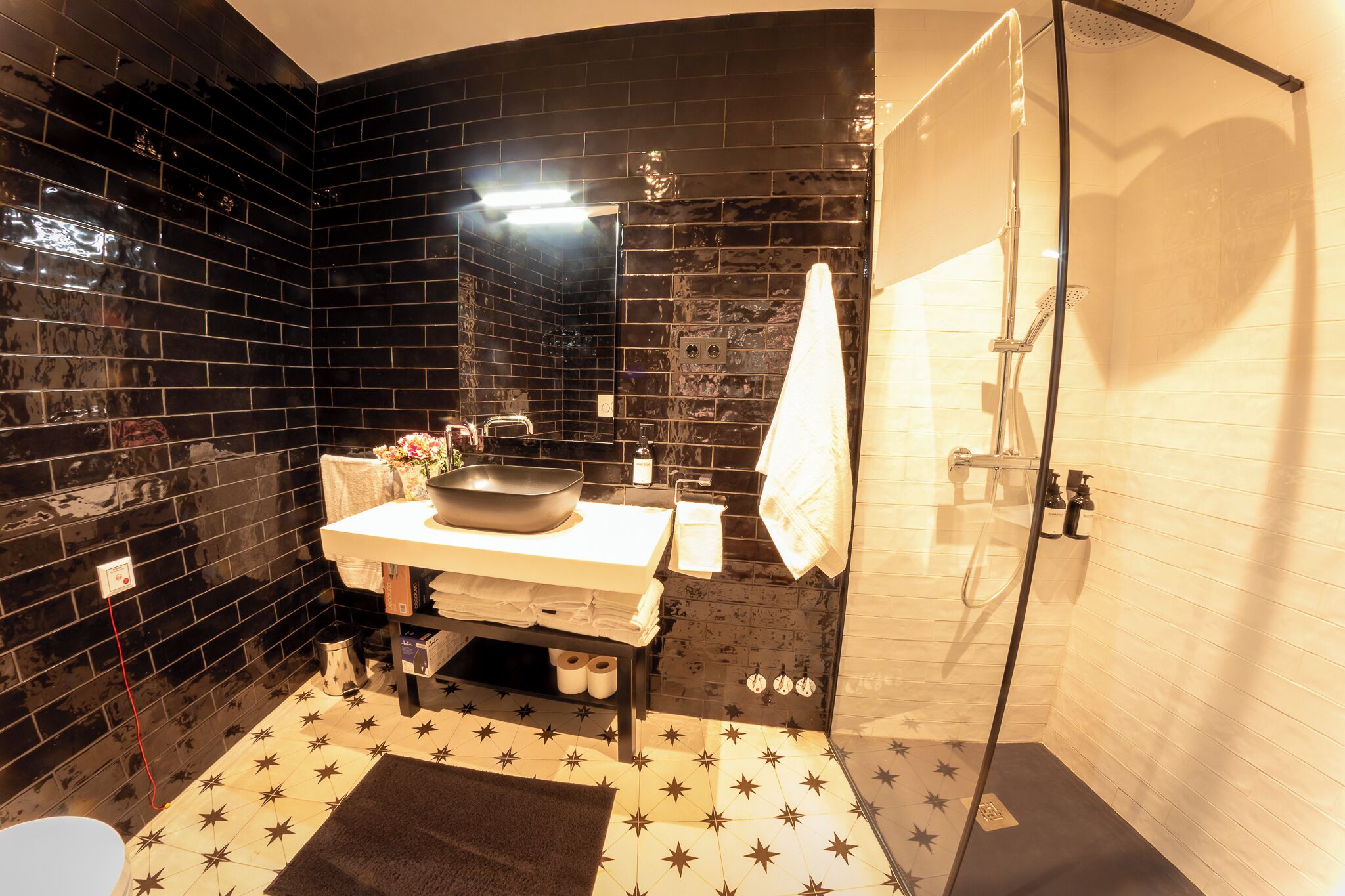 Dusche, Haartrockner, Bidet, Handtücher