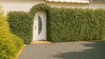 Details aan de buitenkant