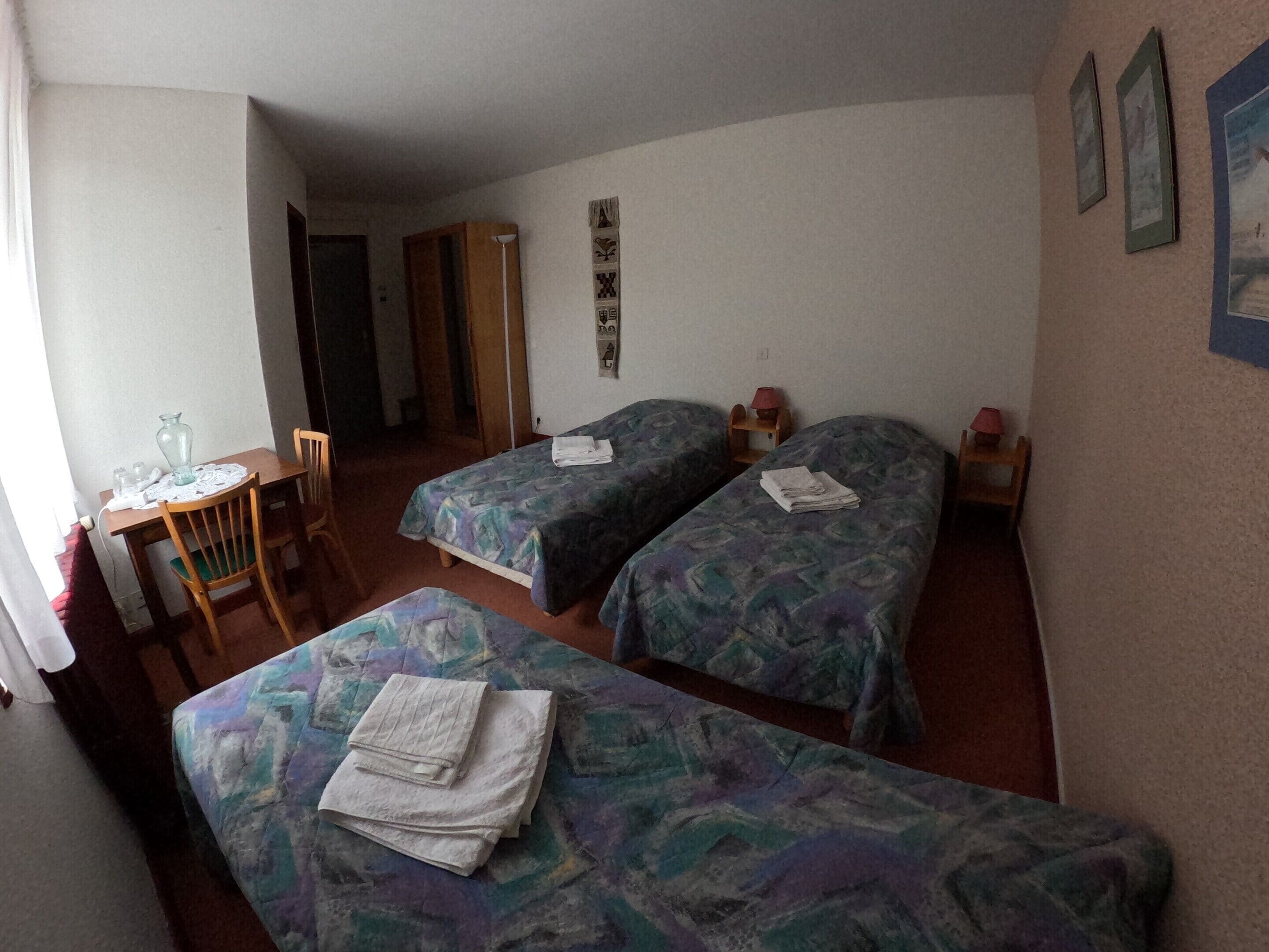 Eenpersoonskamer, niet-roken, uitzicht op tuin | Gratis wifi