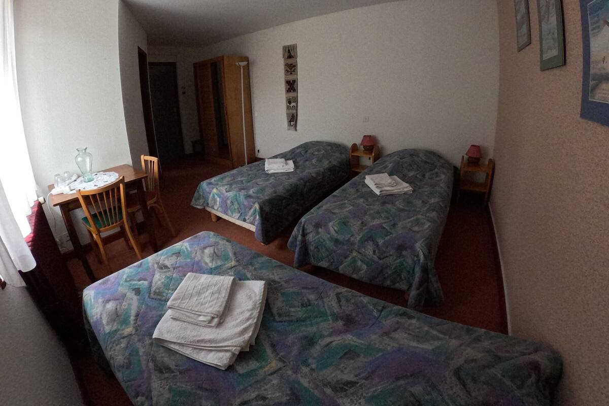 Une chambre avec deux lits simples, une petite table sur laquelle est posé un vase, et une chaise.