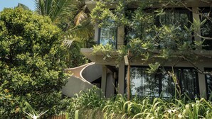 Un edificio de varios pisos con balcones, rodeado de abundante vegetación y palmeras.