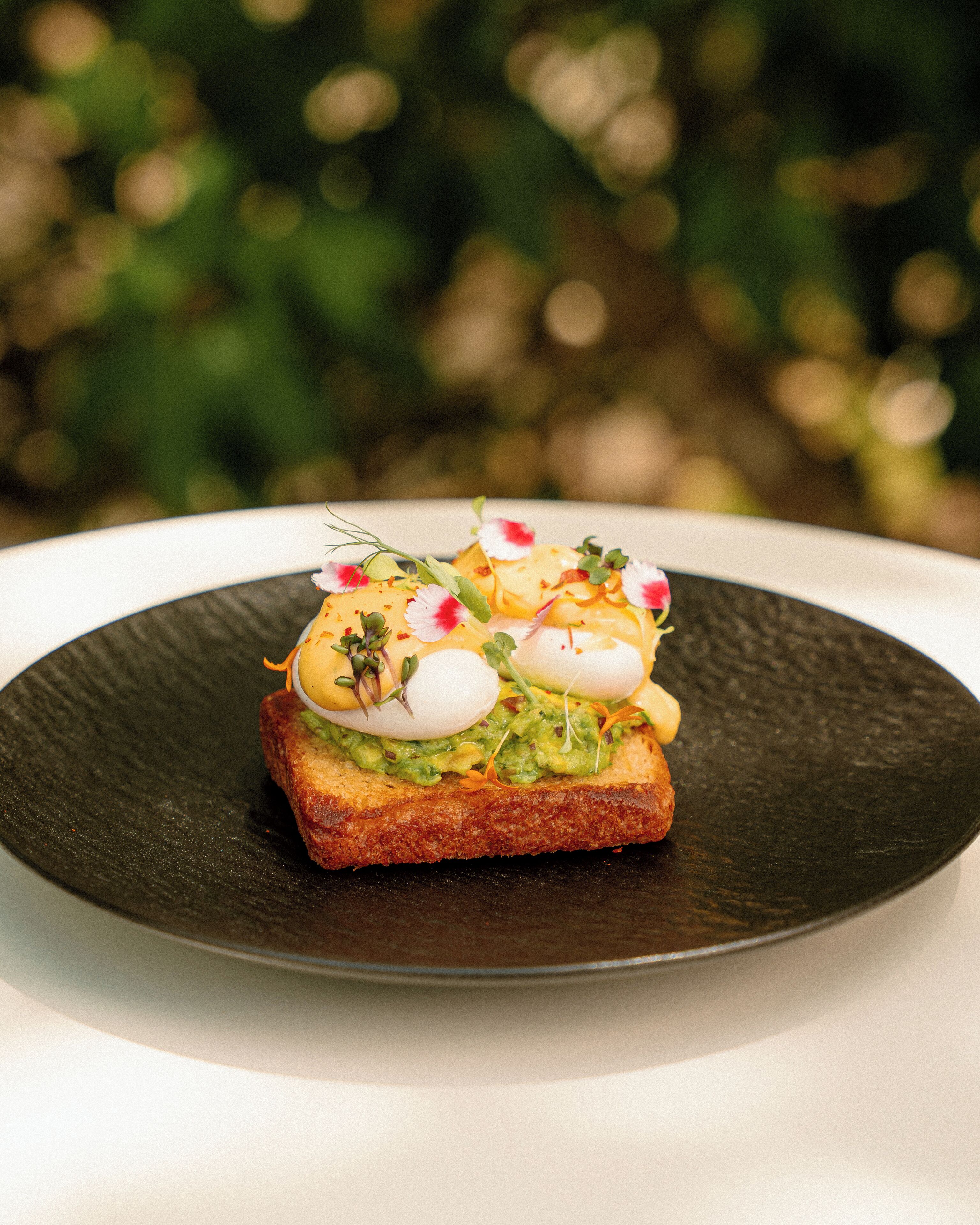 A dish with avocado, egg, and greens on a dark plate.