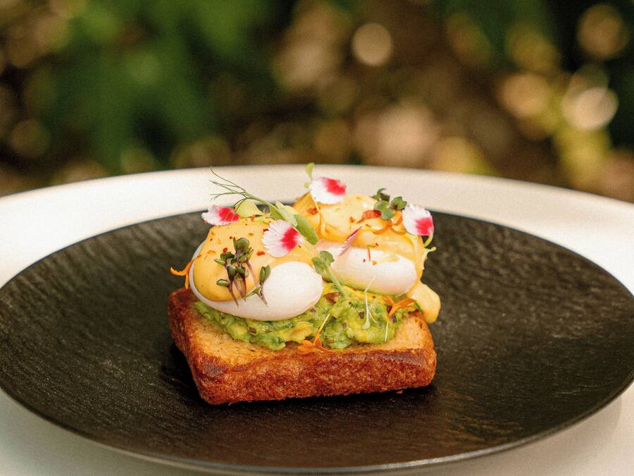 Un plato con aguacate, huevo y vegetales verdes sobre una superficie oscura.