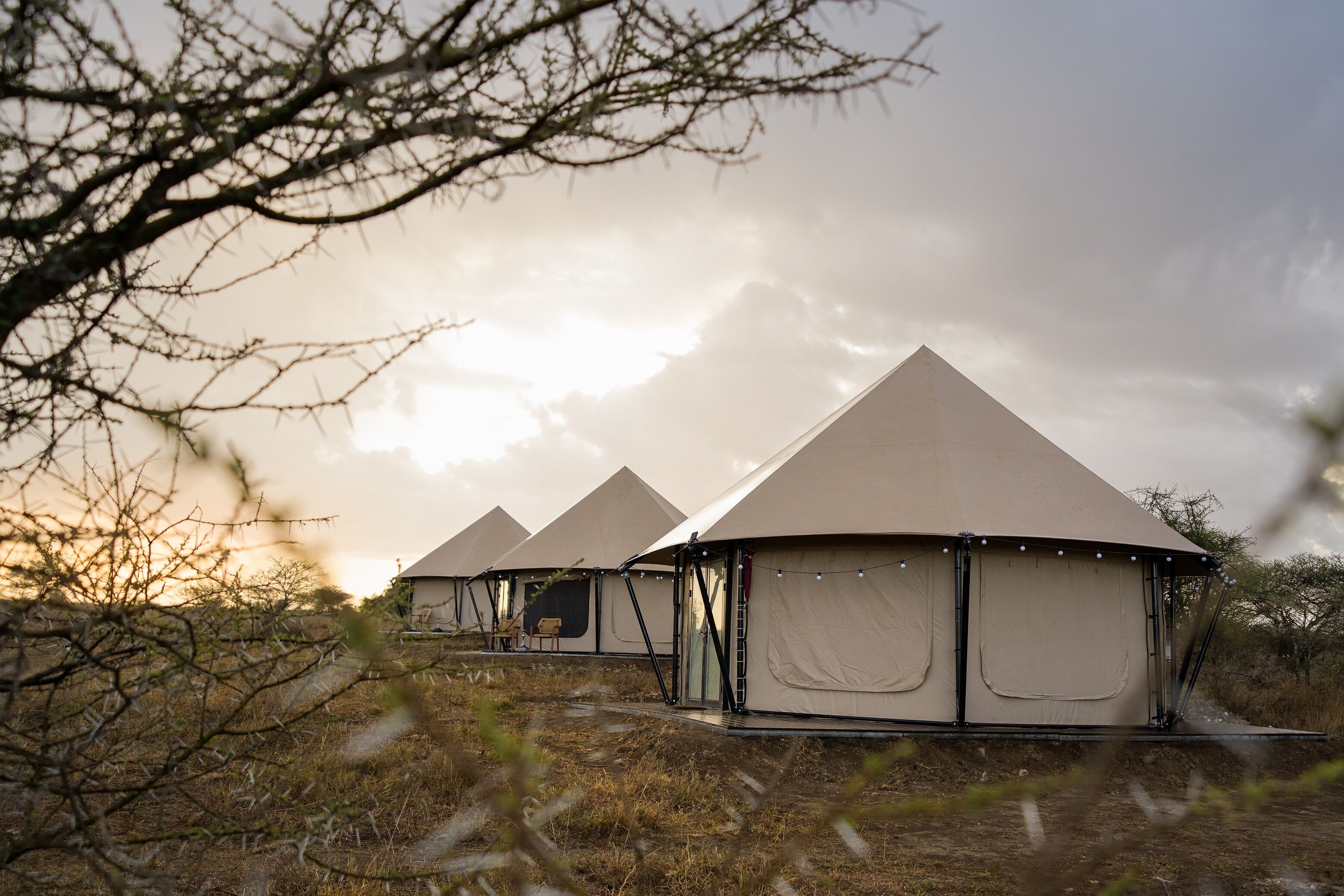 A row of dome-shaped tents with a ladder and a small table, set in a dry, grassy area with sparse trees.