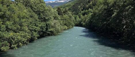 A river flowing through a forested valley with mountains in the background.