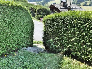 Terrain de l’hébergement 