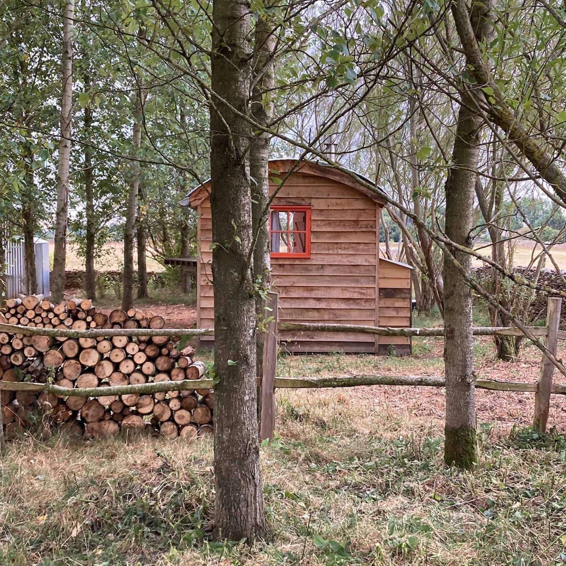 A rustic wooden cabin surrounded by trees, with a stack of logs nearby.