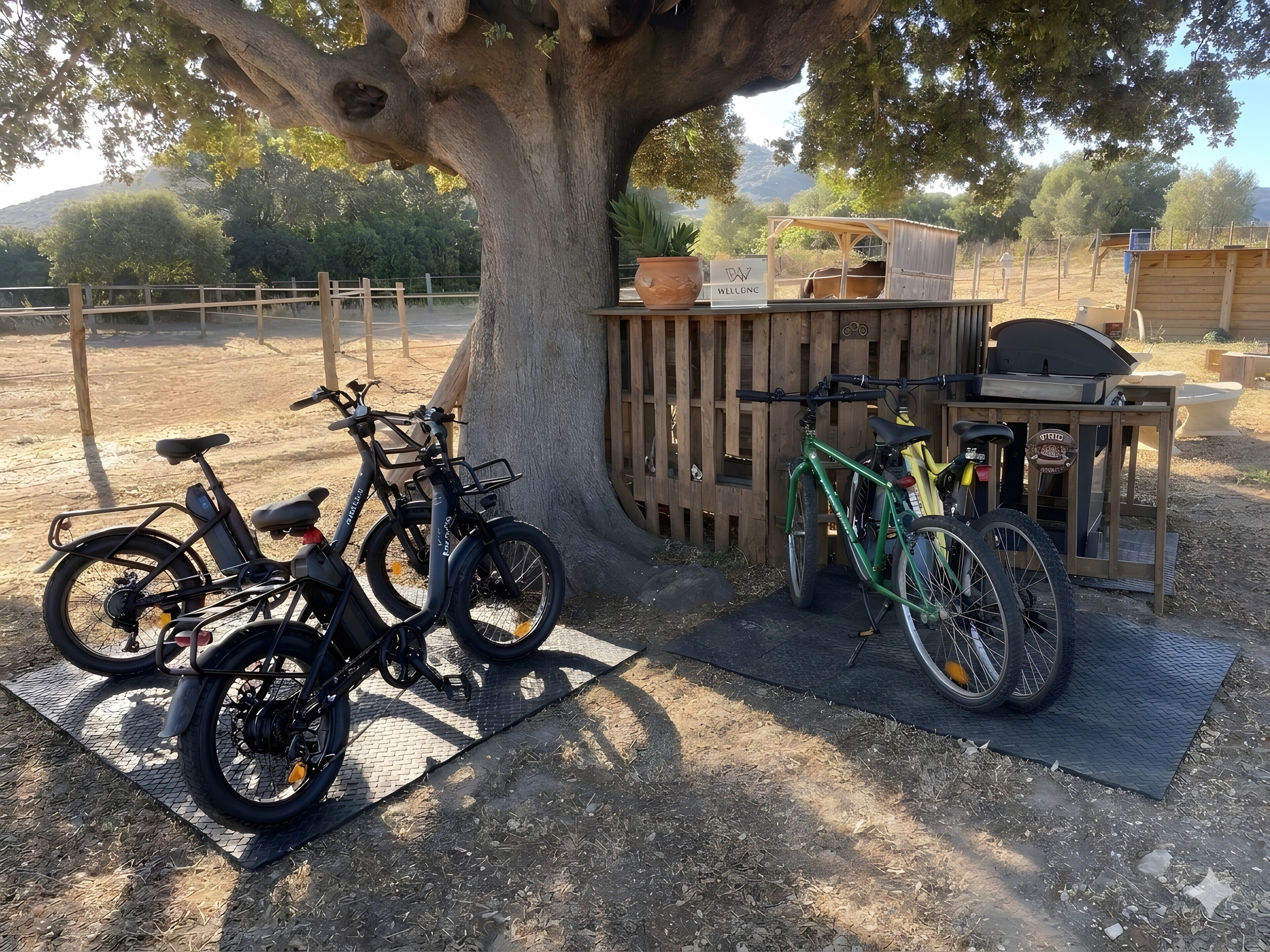 A tree with bicycles parked under it, a wooden structure with a sign, and a grill area.