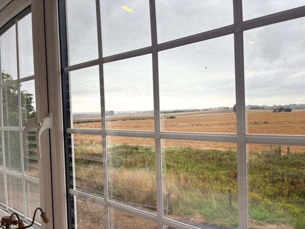 A view through a window with a grid pattern, revealing a rural landscape with fields and distant trees.