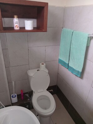 Shower, towels, soap, toilet paper