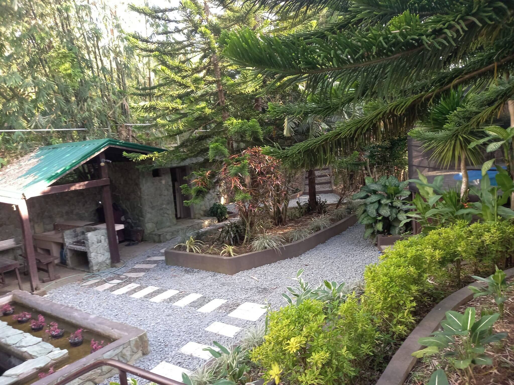 A garden area with a stone pathway, a small pond with pink flowers, and various plants and trees.