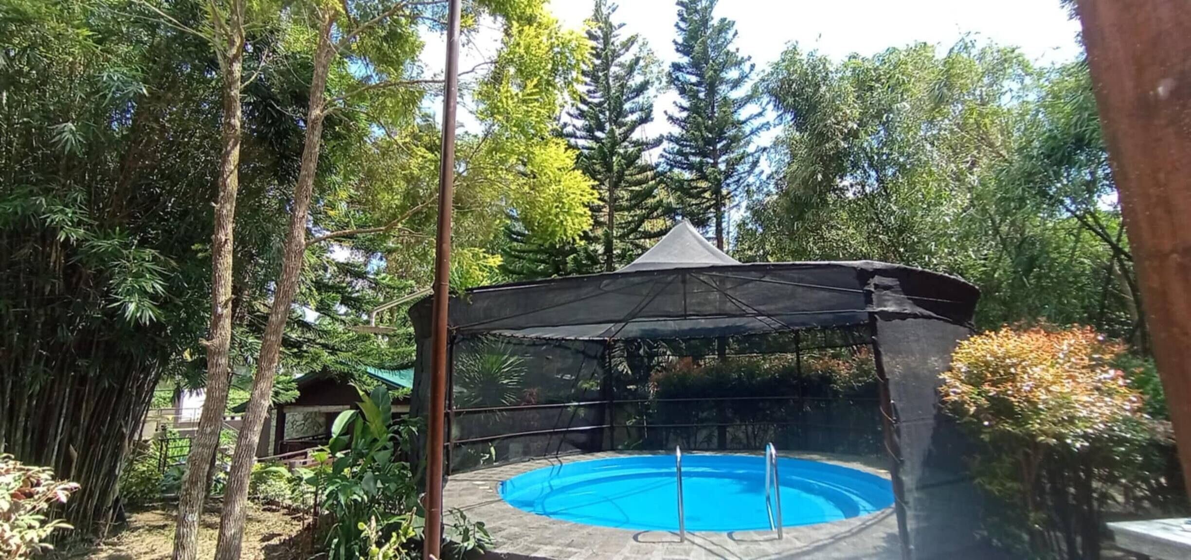 Una piscina con zona cubierta, rodeada de árboles y follaje.