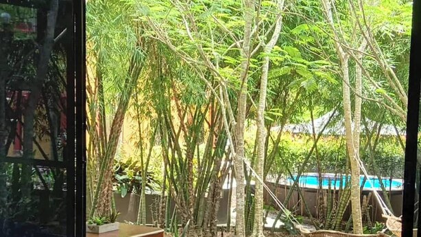 A bedroom with a large bed, a wooden bench, and a hanging chair in a tropical garden view. - Your Tagaytay Escape Here in Mendez, Where Nature, Relaxation, and Fun Await (Mendez)