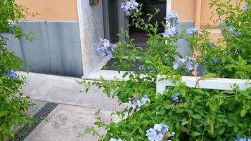 Appartement, 3 chambres, accessible aux personnes à mobilité réduite, cheminée | Jardin