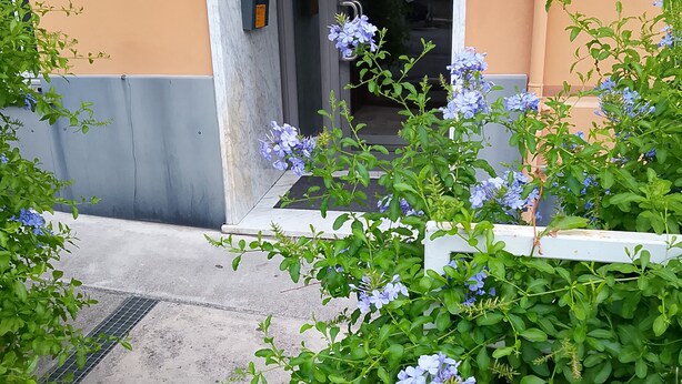 Appartement, 3 chambres, accessible aux personnes à mobilité réduite, foyer | Jardin