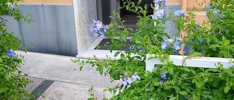 公寓, 3 間臥室, 無障礙, 壁爐 | 花園