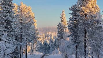 Een met sneeuw bedekte weg, omzoomd door bomen, die leidt naar een bos.
