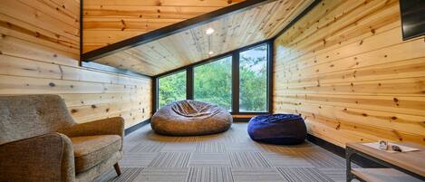 Televisión y chimenea