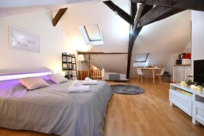 1 bedroom, soundproofing, iron/ironing board, WiFi - Le Cosy du Tambour d'argent (Sens)