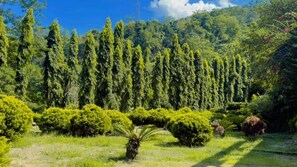 어린이 즐길거리