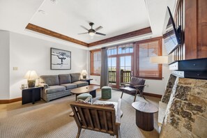 Smart TV, fireplace, books