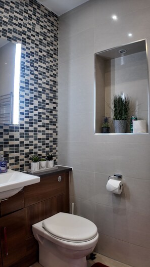 Secadora de cabello, toallas, jabón, papel de baño 