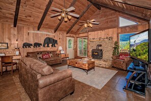 TV, fireplace, video games