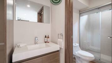 Shower, hair dryer, towels