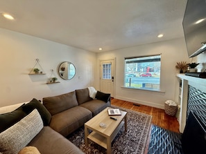 Smart TV, fireplace, books