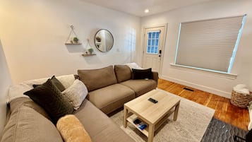 Smart TV, fireplace, books