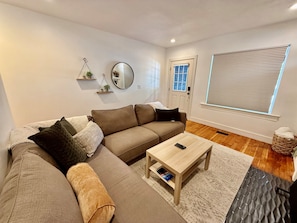 Smart TV, fireplace, books