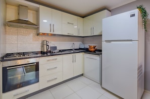 Fridge, oven, stovetop, dishwasher
