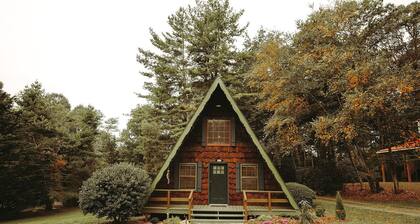 Retro A-Frame Cabin minutes from the Blue Ridge Parkway and I-77 in Fancy Gap