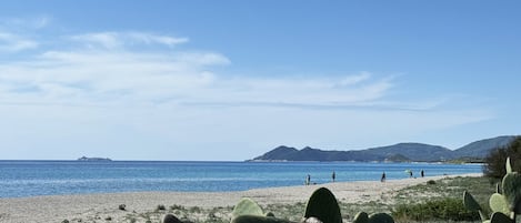 海滩