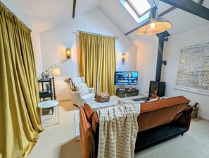 TV, fireplace, offices