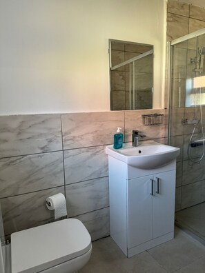 Ducha, toallas, jabón, papel higiénico