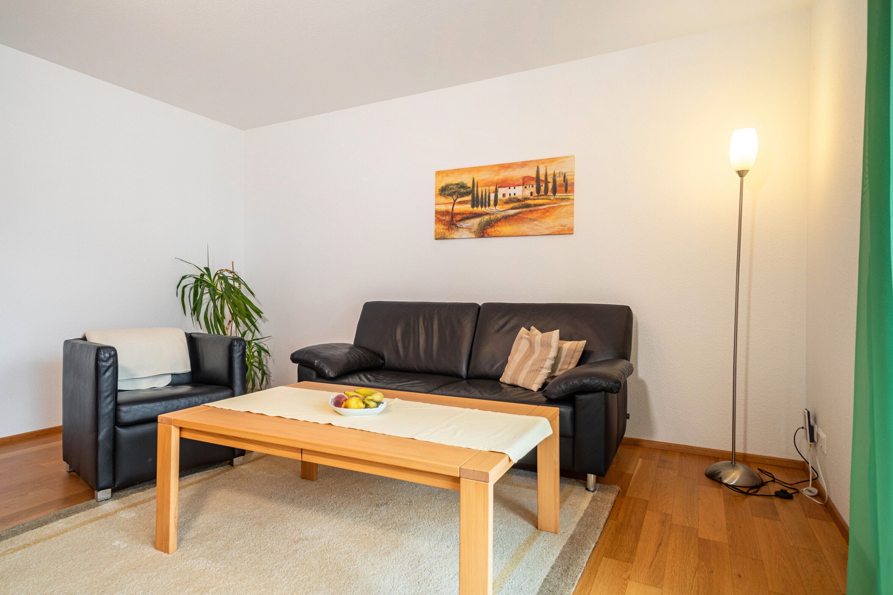 Fernseher, Stereoanlage