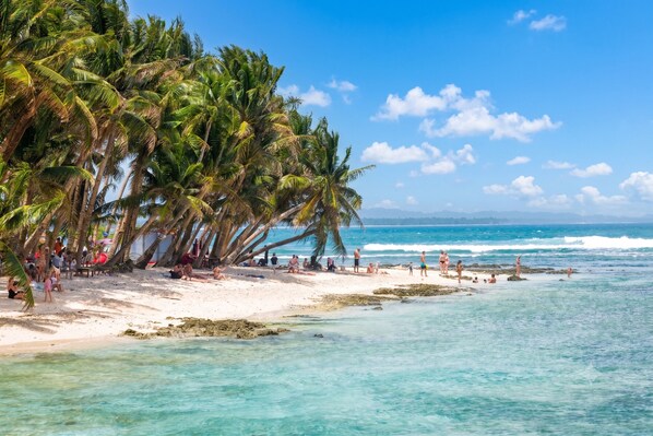 A beach with palm trees, clear blue water, and people on the sand.