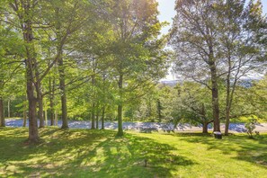 Un parc avec de grands arbres et une pelouse.