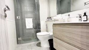 Shower, hair dryer, bidet, towels