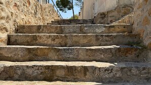 A set of stone steps leading up to a building with a metal railing on the left and a tree in the background.