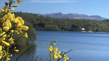 A calm lake with mountains in the background and yellow flowers in the foreground.