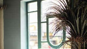 A restaurant interior with round tables and chairs, a large potted plant, and a window with a view of the street. - Boutique hotel tuta (Kutaisi)