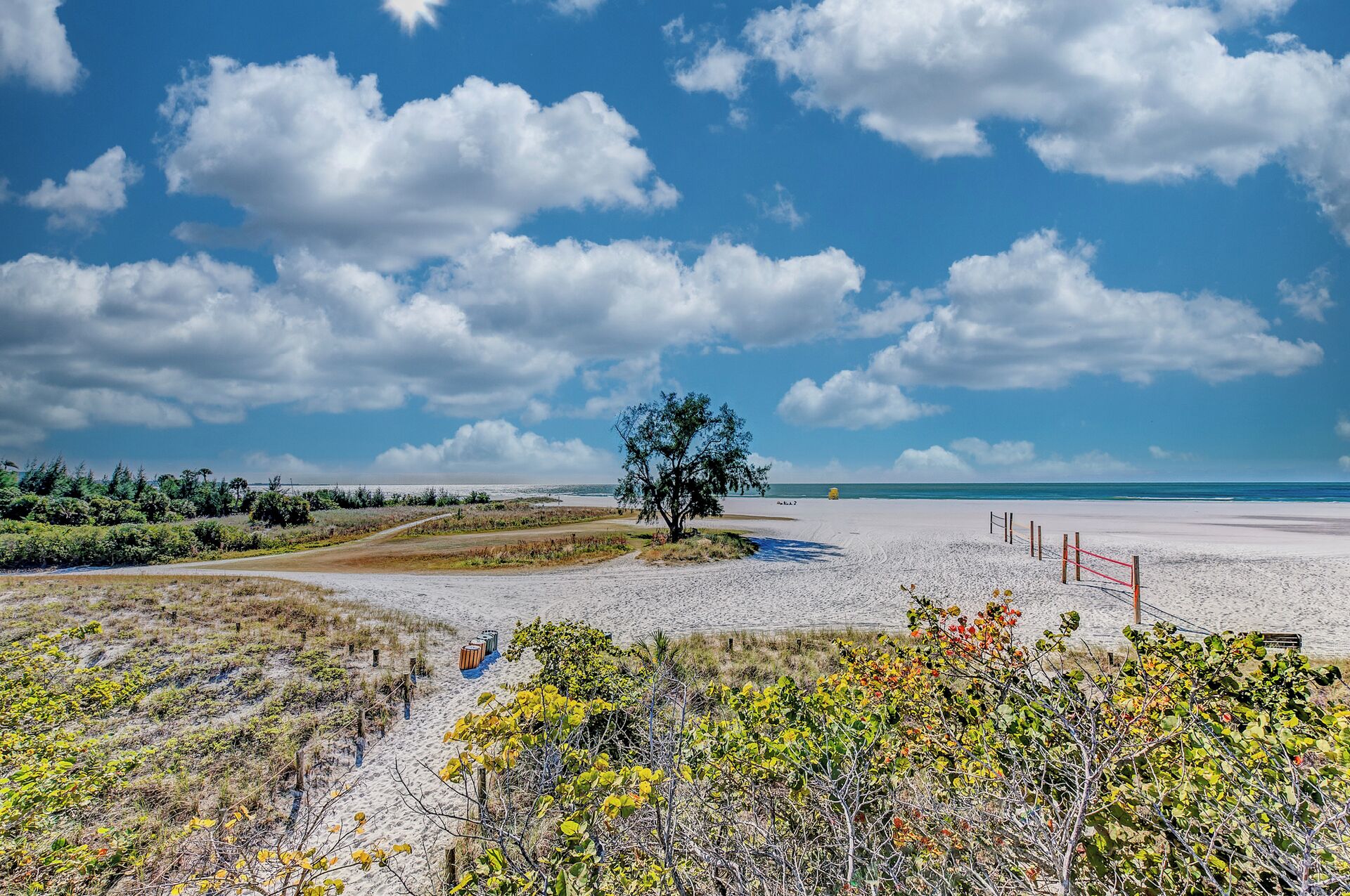A beach with a single tree, a fence, and a clear sky.