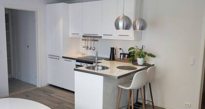 Cozy apartment in Mandal