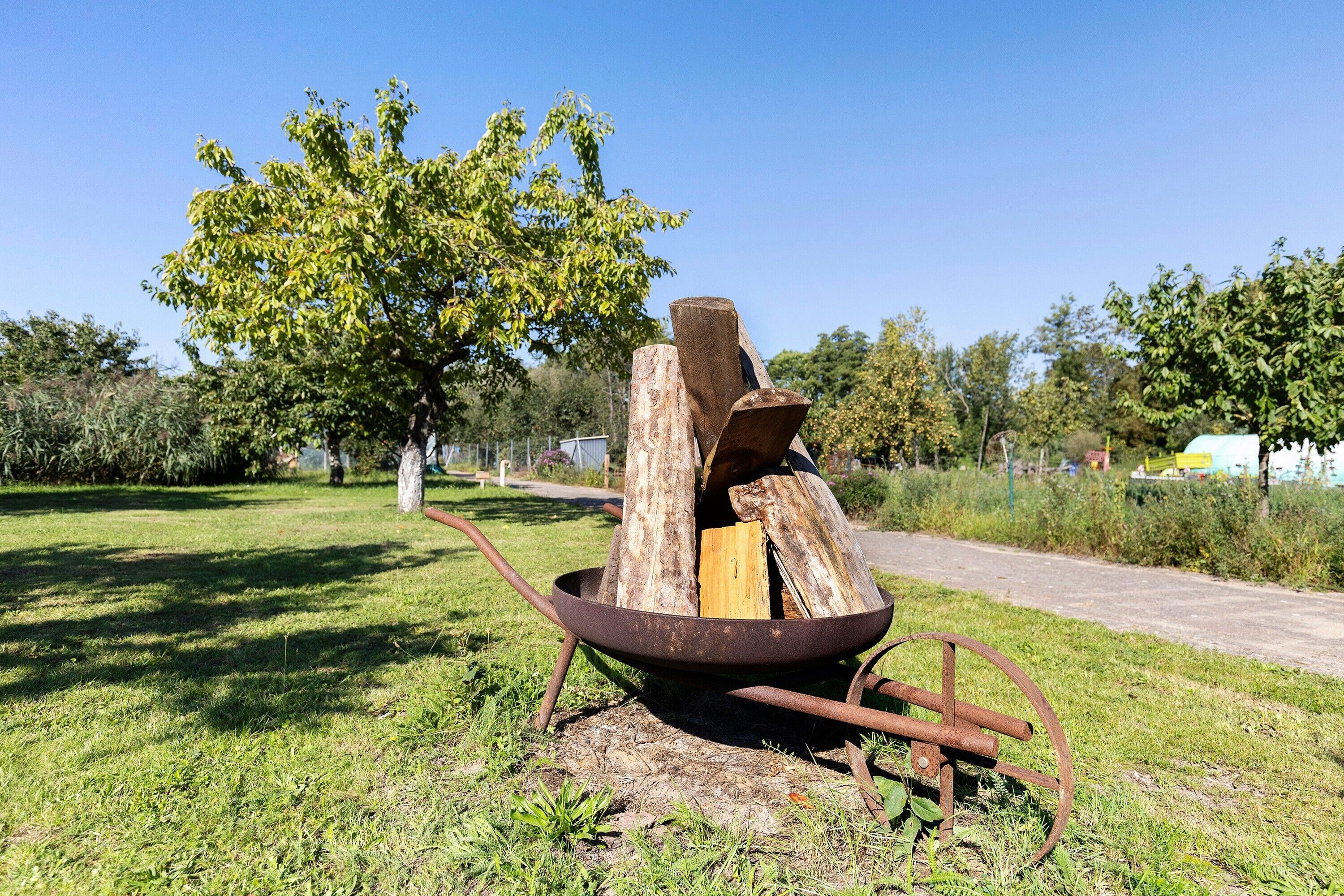 A metal fire pit with logs, surrounded by grass and trees.