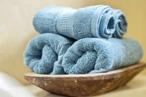 Hair dryer, towels, soap, toilet paper
